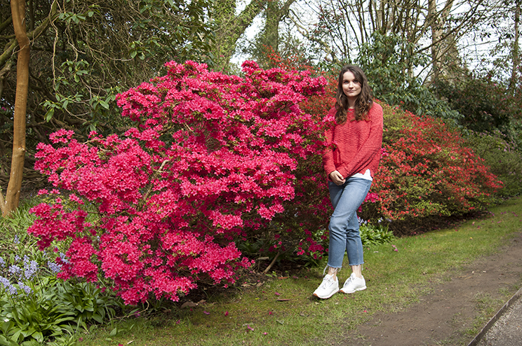 Trelissick Garden